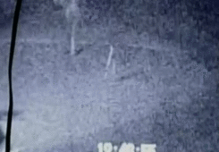 Night vision footage of white shapes walking